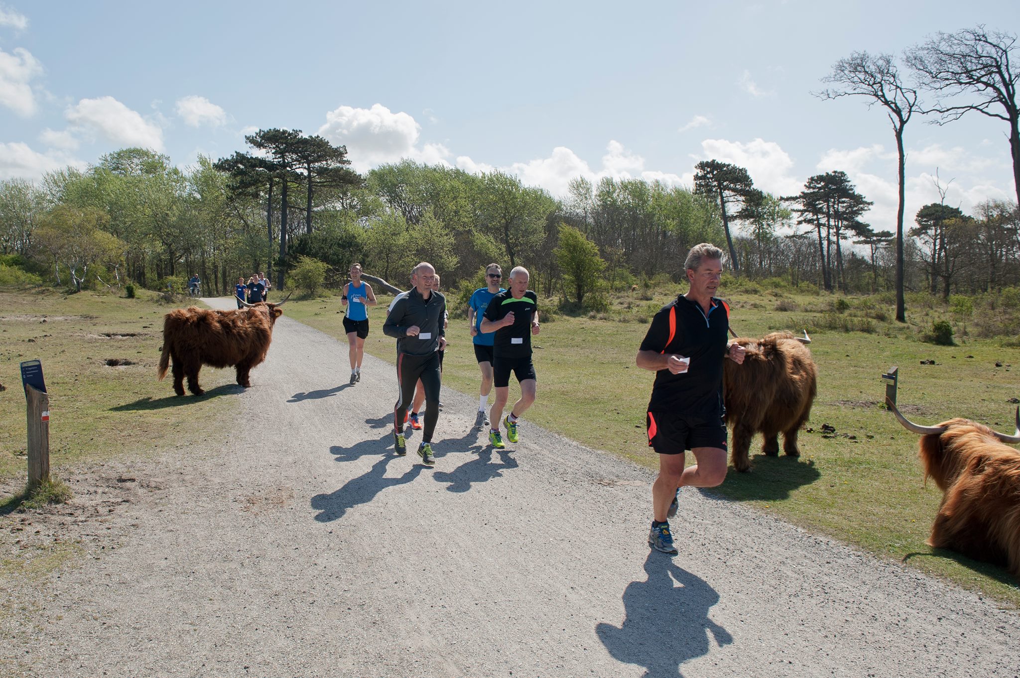 Duin en Kruid Lenteloop